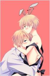 ��С�����Ӽ�