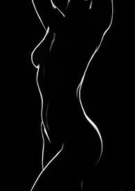 �ʵ�������